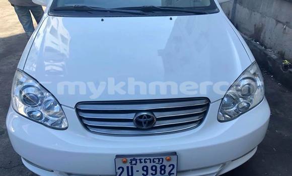 Buy Used Toyota Corolla White Car in Kampot in Kampot Province