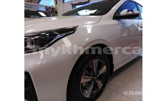 ទិញ នាំចូល Kia Cerato White ឡាន} ក្នុង Import - Dubai ក្នុង Kampot Province ទិញ នាំចូល Kia Cerato White ឡាន} ក្នុង Import - Dubai ក្នុង Kampot Province