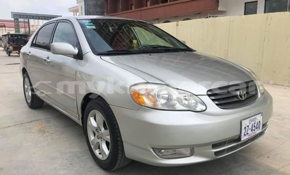 ទិញ បានប្រើ Toyota Corolla Silver ឡាន} ក្នុង Phnom Penh ក្នុង Phnom Penh ទិញ បានប្រើ Toyota Corolla Silver ឡាន} ក្នុង Phnom Penh ក្នុង Phnom Penh