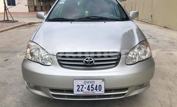 ទិញ បានប្រើ Toyota Corolla Silver ឡាន} ក្នុង Phnom Penh ក្នុង Phnom Penh ទិញ បានប្រើ Toyota Corolla Silver ឡាន} ក្នុង Phnom Penh ក្នុង Phnom Penh