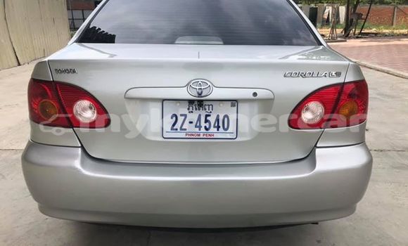 ទិញ បានប្រើ Toyota Corolla Silver ឡាន} ក្នុង Phnom Penh ក្នុង Phnom Penh ទិញ បានប្រើ Toyota Corolla Silver ឡាន} ក្នុង Phnom Penh ក្នុង Phnom Penh