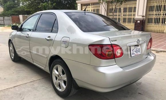 ទិញ បានប្រើ Toyota Corolla Silver ឡាន} ក្នុង Phnom Penh ក្នុង Phnom Penh ទិញ បានប្រើ Toyota Corolla Silver ឡាន} ក្នុង Phnom Penh ក្នុង Phnom Penh