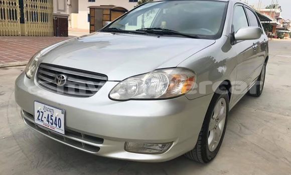 ទិញ បានប្រើ Toyota Corolla Silver ឡាន} ក្នុង Phnom Penh ក្នុង Phnom Penh ទិញ បានប្រើ Toyota Corolla Silver ឡាន} ក្នុង Phnom Penh ក្នុង Phnom Penh
