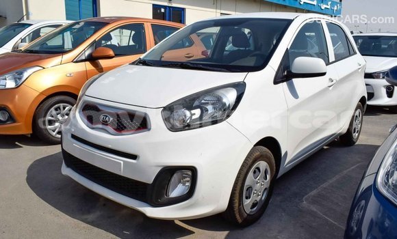 Buy Import Kia Picanto White Car in Import - Dubai in Kampot Province Buy Import Kia Picanto White Car in Import - Dubai in Kampot Province