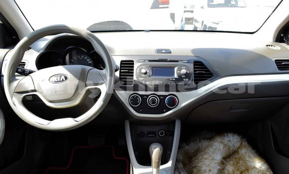 Buy Import Kia Picanto White Car in Import - Dubai in Kampot Province Buy Import Kia Picanto White Car in Import - Dubai in Kampot Province