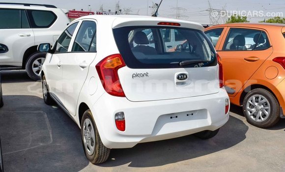 Buy Import Kia Picanto White Car in Import - Dubai in Kampot Province Buy Import Kia Picanto White Car in Import - Dubai in Kampot Province