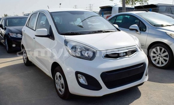 Buy Import Kia Picanto White Car in Import - Dubai in Kampot Province Buy Import Kia Picanto White Car in Import - Dubai in Kampot Province