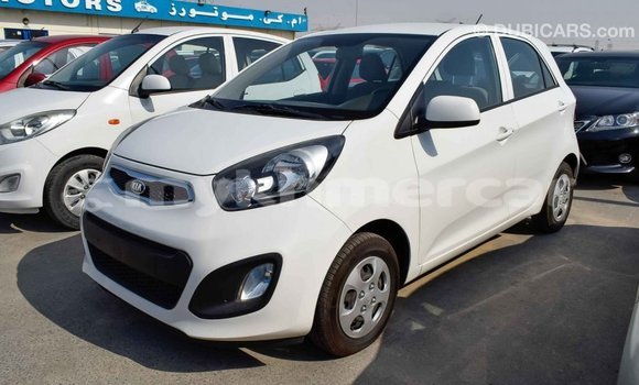 Buy Import Kia Picanto White Car in Import - Dubai in Kampot Province Buy Import Kia Picanto White Car in Import - Dubai in Kampot Province
