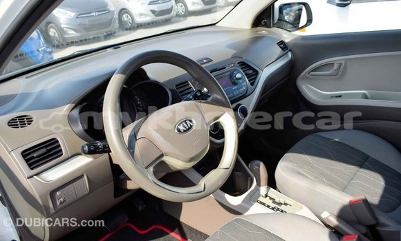 Buy Import Kia Picanto White Car in Import - Dubai in Kampot Province Buy Import Kia Picanto White Car in Import - Dubai in Kampot Province