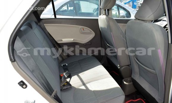 Buy Import Kia Picanto White Car in Import - Dubai in Kampot Province Buy Import Kia Picanto White Car in Import - Dubai in Kampot Province