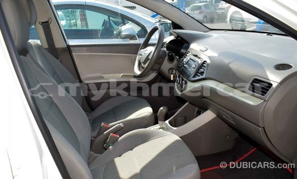 Buy Import Kia Picanto White Car in Import - Dubai in Kampot Province Buy Import Kia Picanto White Car in Import - Dubai in Kampot Province