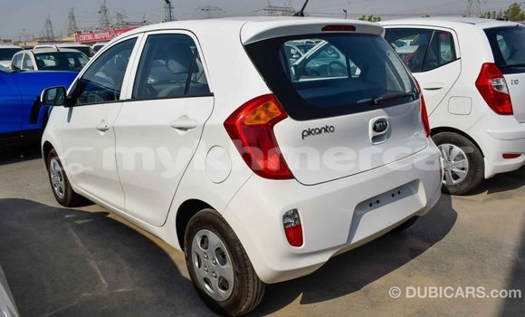 Buy Import Kia Picanto White Car in Import - Dubai in Kampot Province Buy Import Kia Picanto White Car in Import - Dubai in Kampot Province