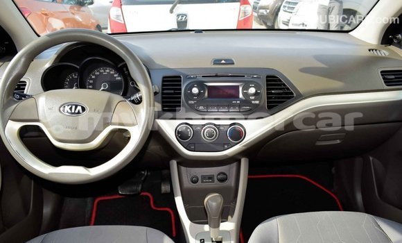 Buy Import Kia Picanto Brown Car in Import - Dubai in Kampot Province Buy Import Kia Picanto Brown Car in Import - Dubai in Kampot Province