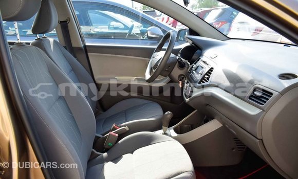 Buy Import Kia Picanto Brown Car in Import - Dubai in Kampot Province Buy Import Kia Picanto Brown Car in Import - Dubai in Kampot Province