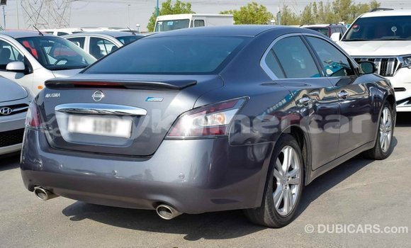 ទិញ នាំចូល Nissan Maxima Other ឡាន} ក្នុង Import - Dubai ក្នុង Kampot Province ទិញ នាំចូល Nissan Maxima Other ឡាន} ក្នុង Import - Dubai ក្នុង Kampot Province