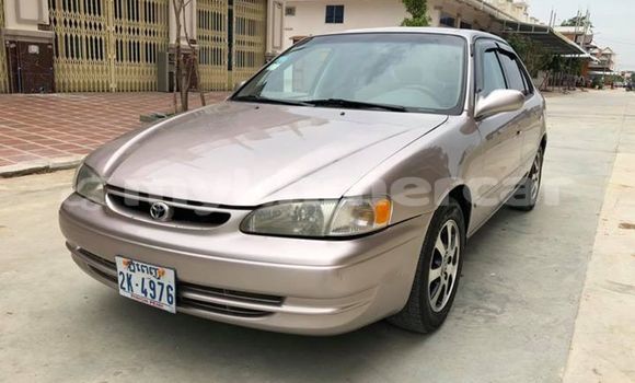 ទិញ បានប្រើ Toyota Corolla Brown ឡាន} ក្នុង Phnom Penh ក្នុង Phnom Penh ទិញ បានប្រើ Toyota Corolla Brown ឡាន} ក្នុង Phnom Penh ក្នុង Phnom Penh