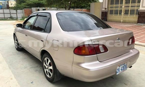 ទិញ បានប្រើ Toyota Corolla Brown ឡាន} ក្នុង Phnom Penh ក្នុង Phnom Penh ទិញ បានប្រើ Toyota Corolla Brown ឡាន} ក្នុង Phnom Penh ក្នុង Phnom Penh