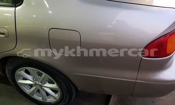 ទិញ បានប្រើ Toyota Corolla Silver ឡាន} ក្នុង Phnom Penh ក្នុង Phnom Penh ទិញ បានប្រើ Toyota Corolla Silver ឡាន} ក្នុង Phnom Penh ក្នុង Phnom Penh