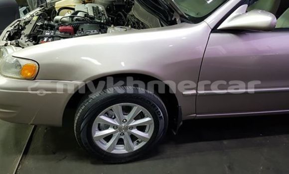 ទិញ បានប្រើ Toyota Corolla Silver ឡាន} ក្នុង Phnom Penh ក្នុង Phnom Penh ទិញ បានប្រើ Toyota Corolla Silver ឡាន} ក្នុង Phnom Penh ក្នុង Phnom Penh