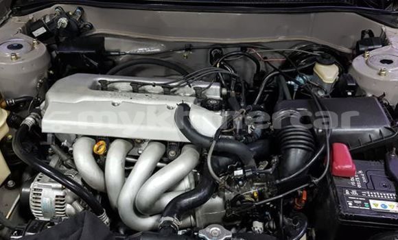 ទិញ បានប្រើ Toyota Corolla Silver ឡាន} ក្នុង Phnom Penh ក្នុង Phnom Penh ទិញ បានប្រើ Toyota Corolla Silver ឡាន} ក្នុង Phnom Penh ក្នុង Phnom Penh