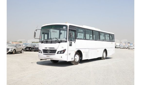 Buy Import Tata Xenon White Car in Import - Dubai in Kampot Province