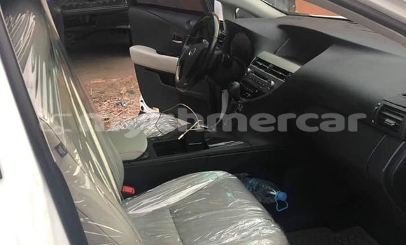 Buy Used Lexus RX 350 White Car in Phnom Penh in Phnom Penh Buy Used Lexus RX 350 White Car in Phnom Penh in Phnom Penh