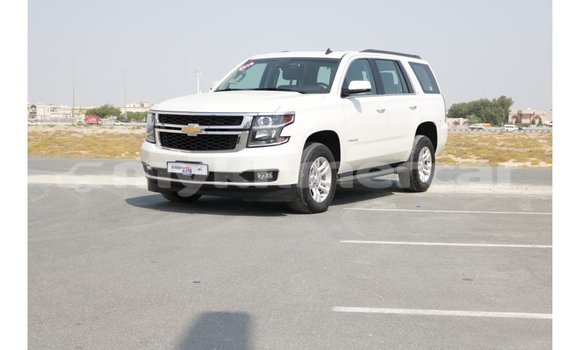 Buy Import Chevrolet Tahoe White Car in Import - Dubai in Kampot Province