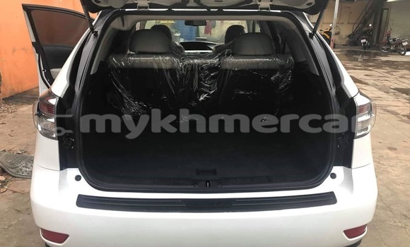 Buy Used Lexus RX 350 White Car in Phnom Penh in Phnom Penh Buy Used Lexus RX 350 White Car in Phnom Penh in Phnom Penh