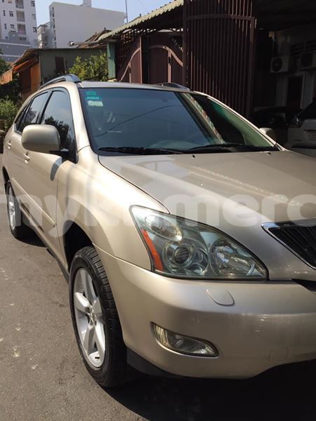 Big with watermark 51233384 2204652376259318 8198082731058397184 n