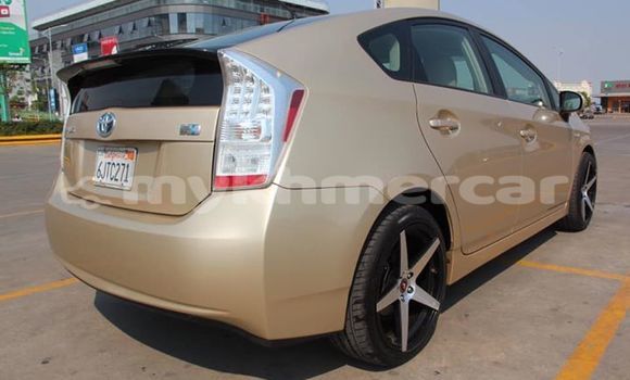 Buy Used Toyota Prius Brown Car in Phnom Penh in Phnom Penh Buy Used Toyota Prius Brown Car in Phnom Penh in Phnom Penh