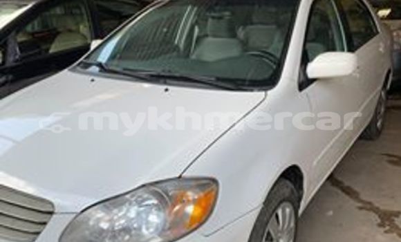 Buy Used Toyota Corolla White Car in Phnom Penh in Phnom Penh Buy Used Toyota Corolla White Car in Phnom Penh in Phnom Penh