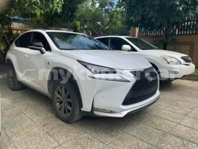 Big with watermark 67402664 633416347144788 7475034113582301184 n