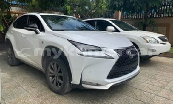 Buy Used Lexus NX White Car in Phnom Penh in Phnom Penh Buy Used Lexus NX White Car in Phnom Penh in Phnom Penh