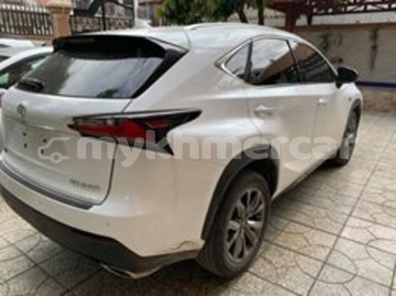 Big with watermark 67285746 633416383811451 7379506657870479360 n