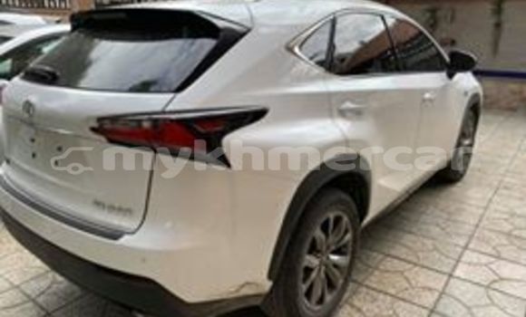Buy Used Lexus NX White Car in Phnom Penh in Phnom Penh Buy Used Lexus NX White Car in Phnom Penh in Phnom Penh