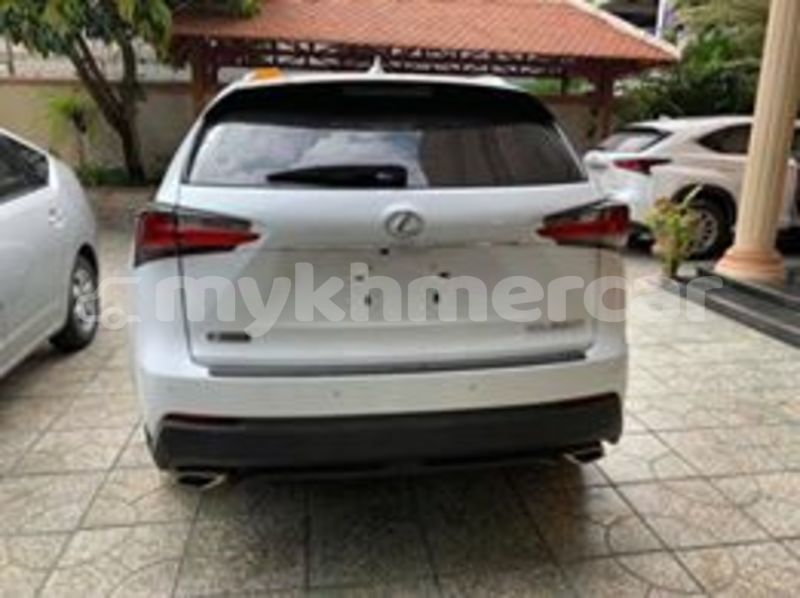 Big with watermark 67417157 633416403811449 8666479129782124544 n