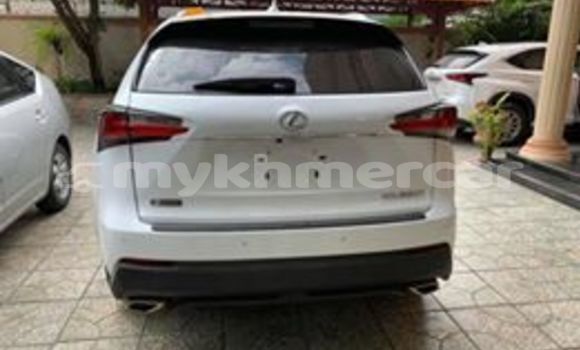 Buy Used Lexus NX White Car in Phnom Penh in Phnom Penh Buy Used Lexus NX White Car in Phnom Penh in Phnom Penh
