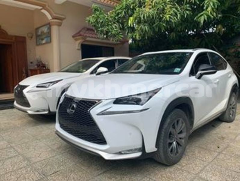 Big with watermark 67121747 633416363811453 3154068006150078464 n