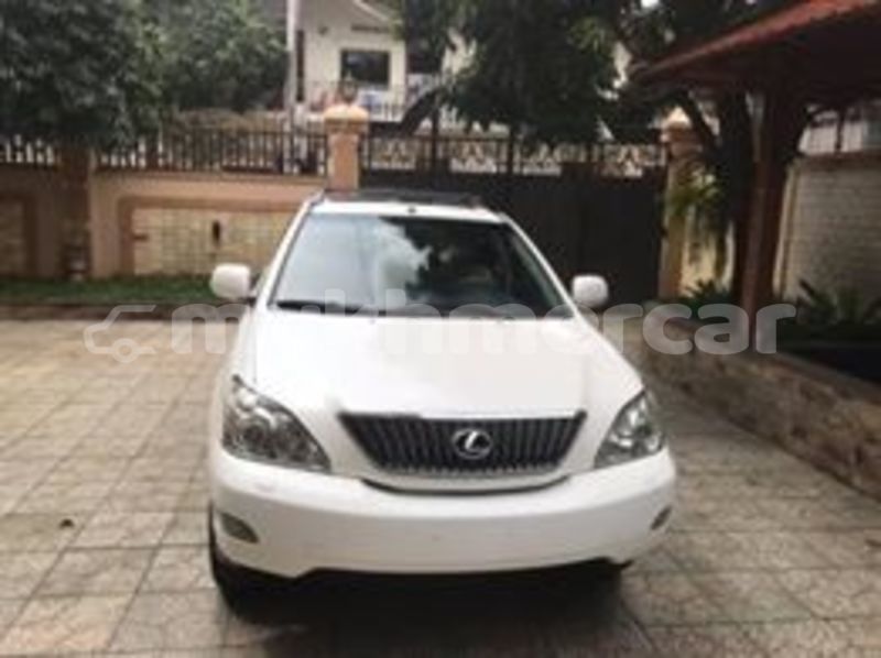 Big with watermark 67363317 633298170489939 6698157461259419648 n