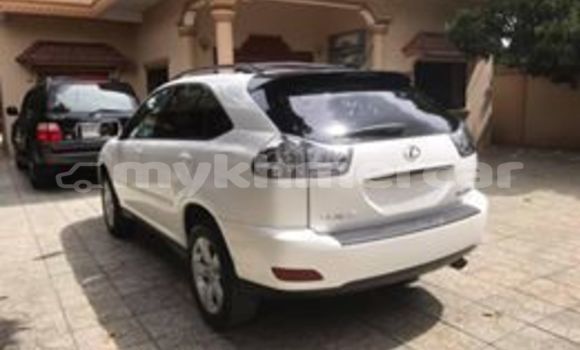 Buy Used Lexus RX 330 White Car in Phnom Penh in Phnom Penh Buy Used Lexus RX 330 White Car in Phnom Penh in Phnom Penh