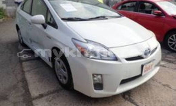 Buy Used Toyota Prius White Car in Phnom Penh in Phnom Penh Buy Used Toyota Prius White Car in Phnom Penh in Phnom Penh