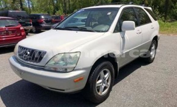 Buy Used Lexus RX White Car in Phnom Penh in Phnom Penh Buy Used Lexus RX White Car in Phnom Penh in Phnom Penh