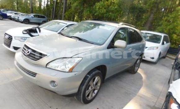 Buy Used Lexus RX Silver Car in Phnom Penh in Phnom Penh Buy Used Lexus RX Silver Car in Phnom Penh in Phnom Penh
