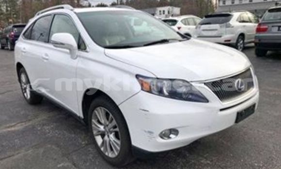 Buy Used Lexus RX White Car in Phnom Penh in Phnom Penh Buy Used Lexus RX White Car in Phnom Penh in Phnom Penh