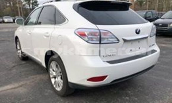 Buy Used Lexus RX White Car in Phnom Penh in Phnom Penh Buy Used Lexus RX White Car in Phnom Penh in Phnom Penh