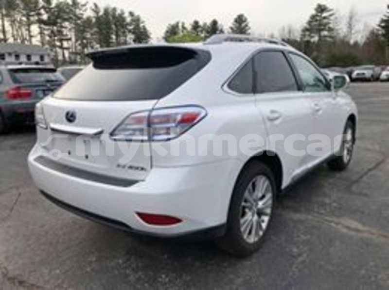 Big with watermark 67266911 626710997815323 2714912496396795904 n