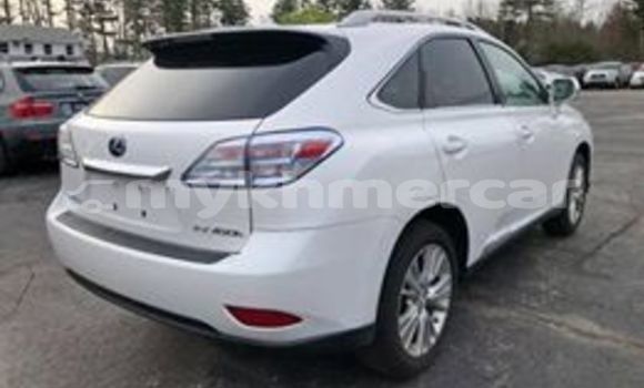 Buy Used Lexus RX White Car in Phnom Penh in Phnom Penh Buy Used Lexus RX White Car in Phnom Penh in Phnom Penh