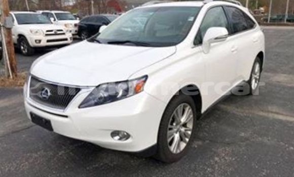 Buy Used Lexus RX White Car in Phnom Penh in Phnom Penh Buy Used Lexus RX White Car in Phnom Penh in Phnom Penh