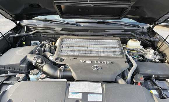 Buy New Toyota Land Cruiser Black Car in Amleang in Kampong Speu Province Buy New Toyota Land Cruiser Black Car in Amleang in Kampong Speu Province