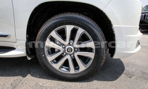 Buy New Toyota Land Cruiser White Car in Amleang in Kampong Speu Province Buy New Toyota Land Cruiser White Car in Amleang in Kampong Speu Province